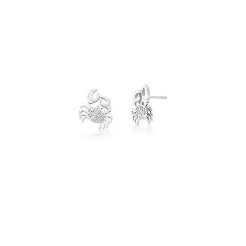 0209059900534