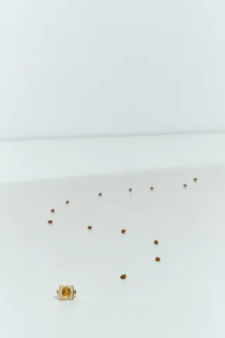 2026-01-28ZPBBBISACECATTO-0919-ALTA