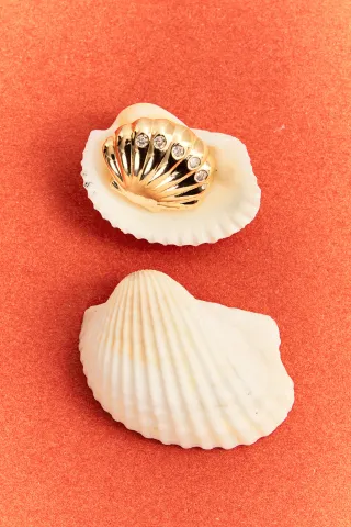 2025-09-05ZPMARISOFIA4830-ALTA