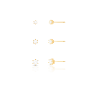 023205006015