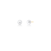 023956306016