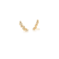 0206095600014