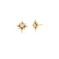 0206099900287