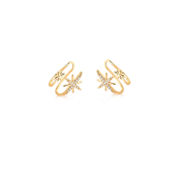 2906054000011
