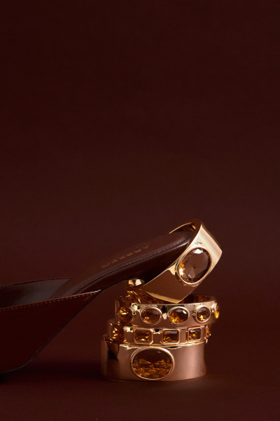 2026-02-25ZPCCCAMANDAIZA-0097-ALTA