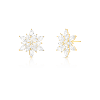 024200606015