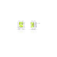 024451009056