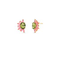 024441006001