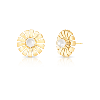 024347606016