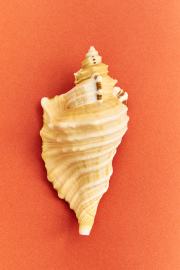 2025-09-05ZPMARISOFIA4756-ALTA
