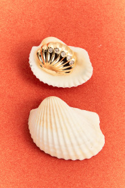 2025-09-05ZPMARISOFIA4830-ALTA