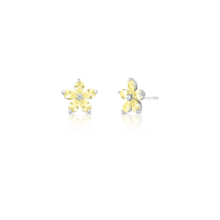 024309209002