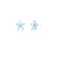 024309209010