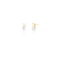 024207906016