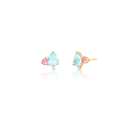 024245106001