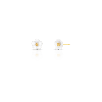 022192506016