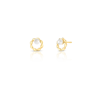 024356506016