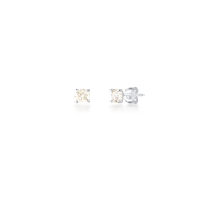 023895116002