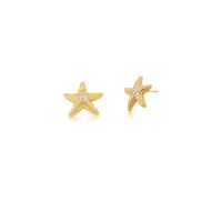 0206054000137