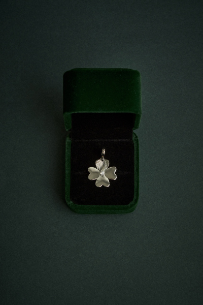 2026-02-11ZPKALINKAPRATA-0103-ALTA