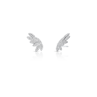 024185916015