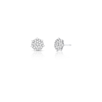 024307116015