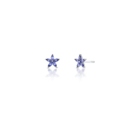024177416066