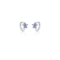 024397716066