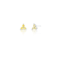 024399316002