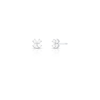 024327016015