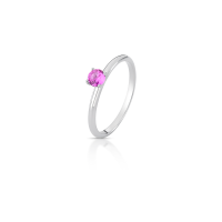 010069016039