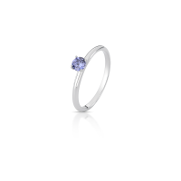 010069016066