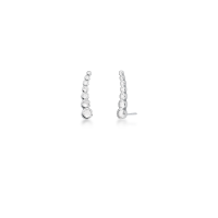 023806216015
