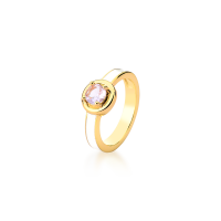 0106094100217