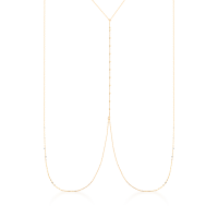 3006019900293