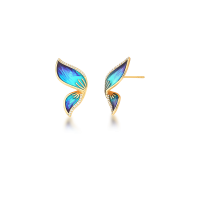 0206055600165