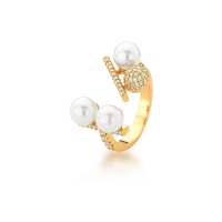 0106050900068