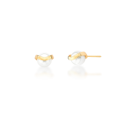 0206010900309