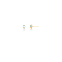 0206094100437