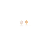 0206055600167