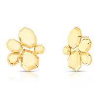 023910559000