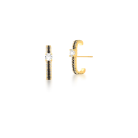 0206094100417