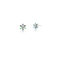 023752419109