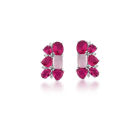 0209059900037
