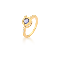 0106094100338