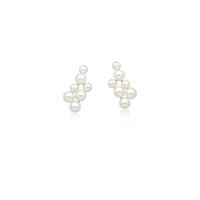 0206010900132