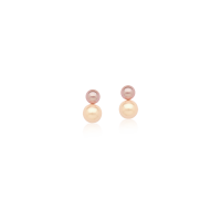 0207010900038