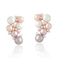 0207050900041