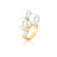 0106010900055
