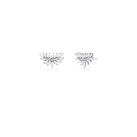 023835116015